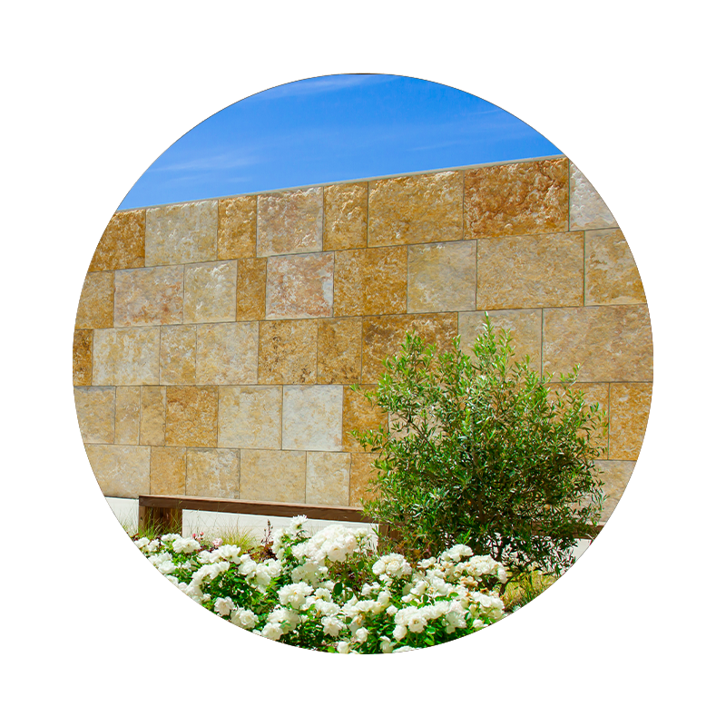 The Western Wall
